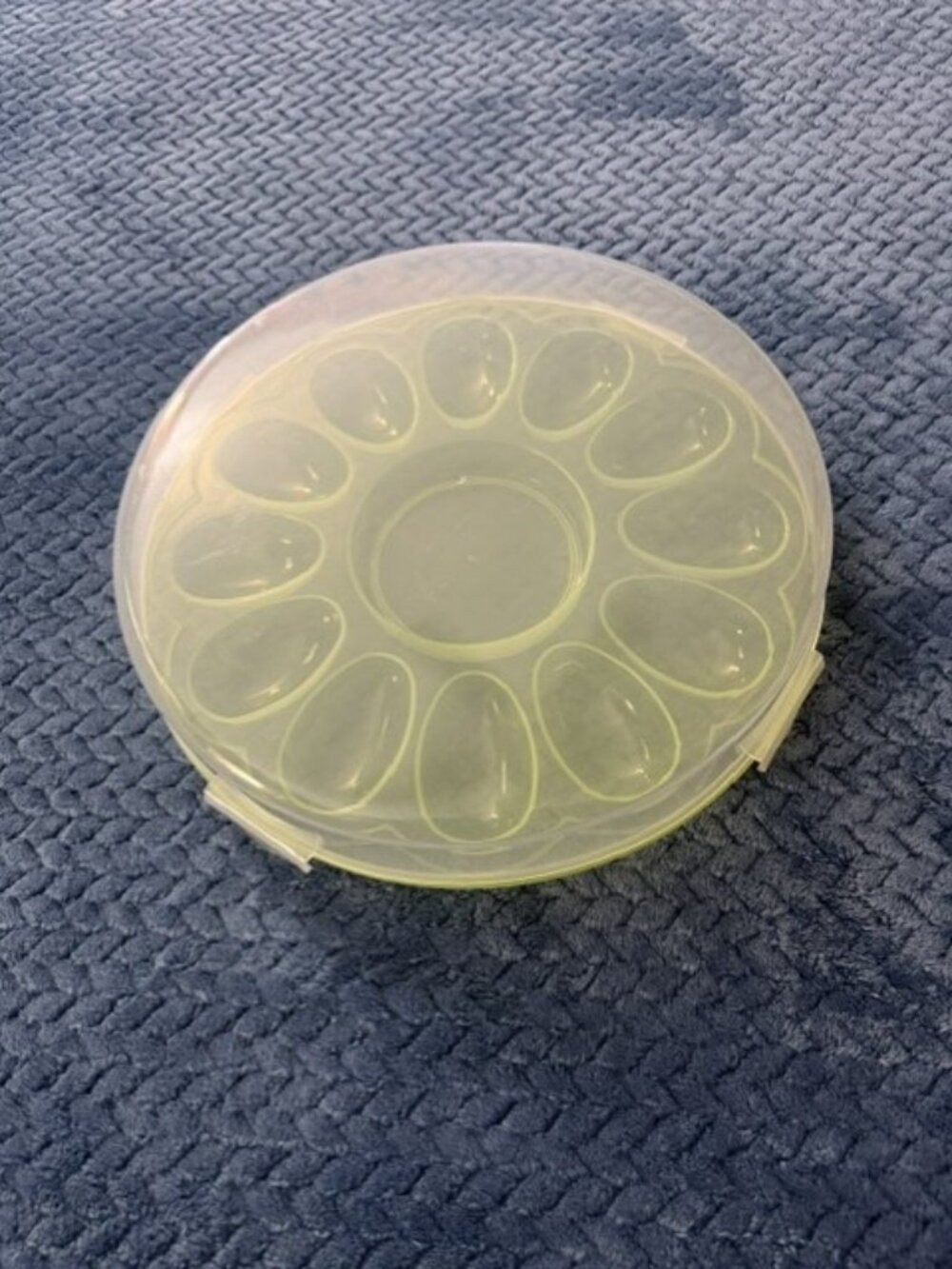 Round Pastel Green Deviled Egg Carrier with Locking Lid – Holds 12 Eggs